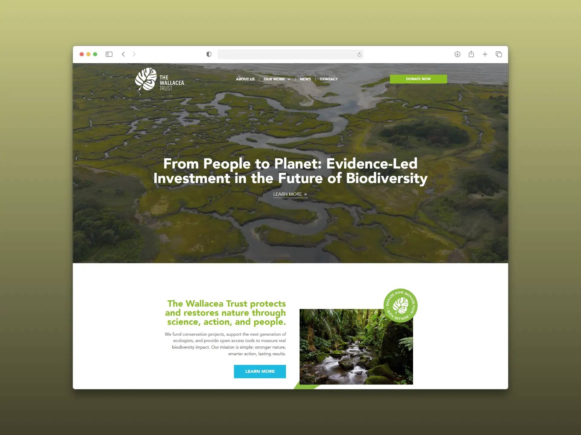 wallacea website build