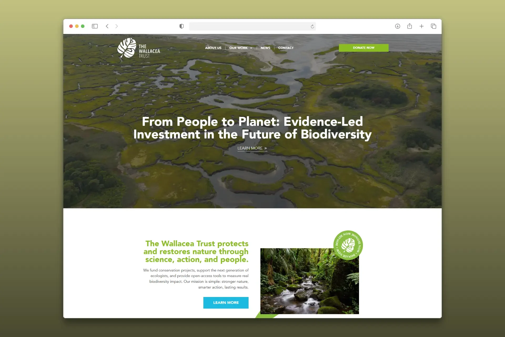 wallacea website build
